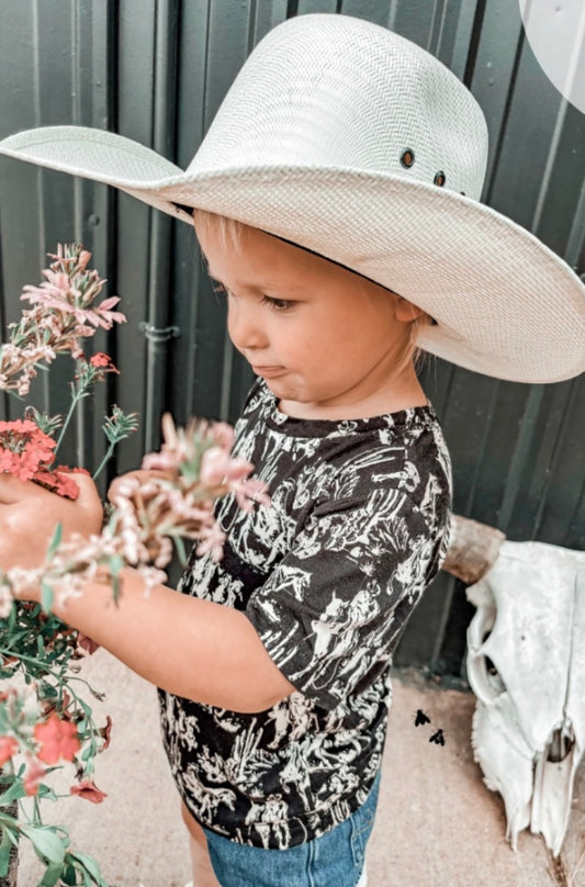 Cowpokes Dusk Desert