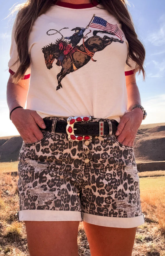 Tennessee Walkers in Cheetah