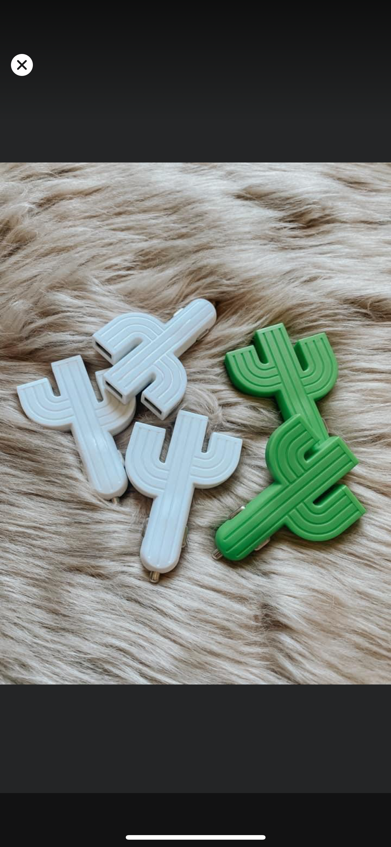 Cactus USB charger