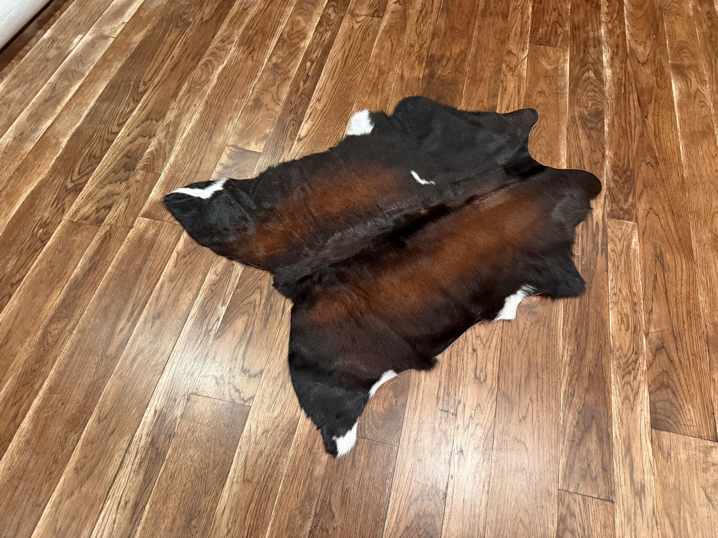 AT - Tri color - Rug 1